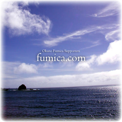 fumica.com image